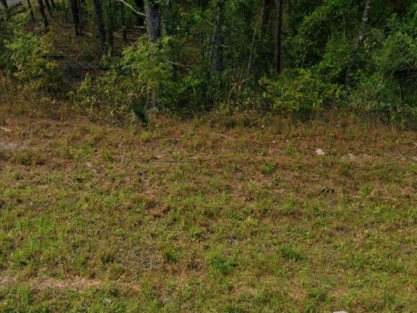 308 Kingston Blvd, Satsuma, FL 32189