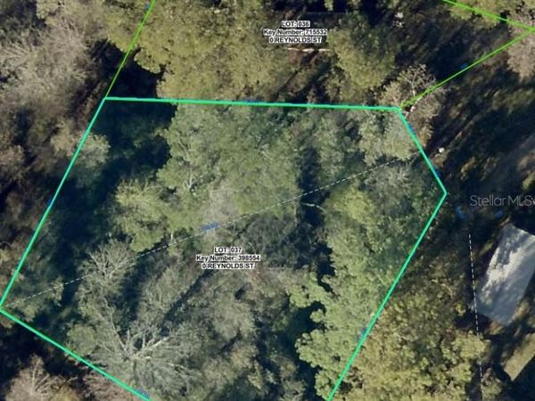 35436 REYNOLDS STREET, DADE CITY, FL 33523