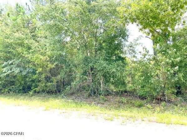 0 Edison Avenue , Alford, FL 32420