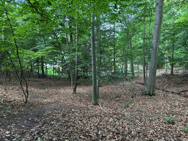 6625 Forest Beach Drive, Holland, MI 49423