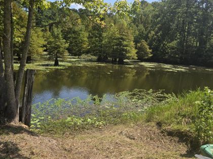 116 Huger Street Eutawville, SC 29048