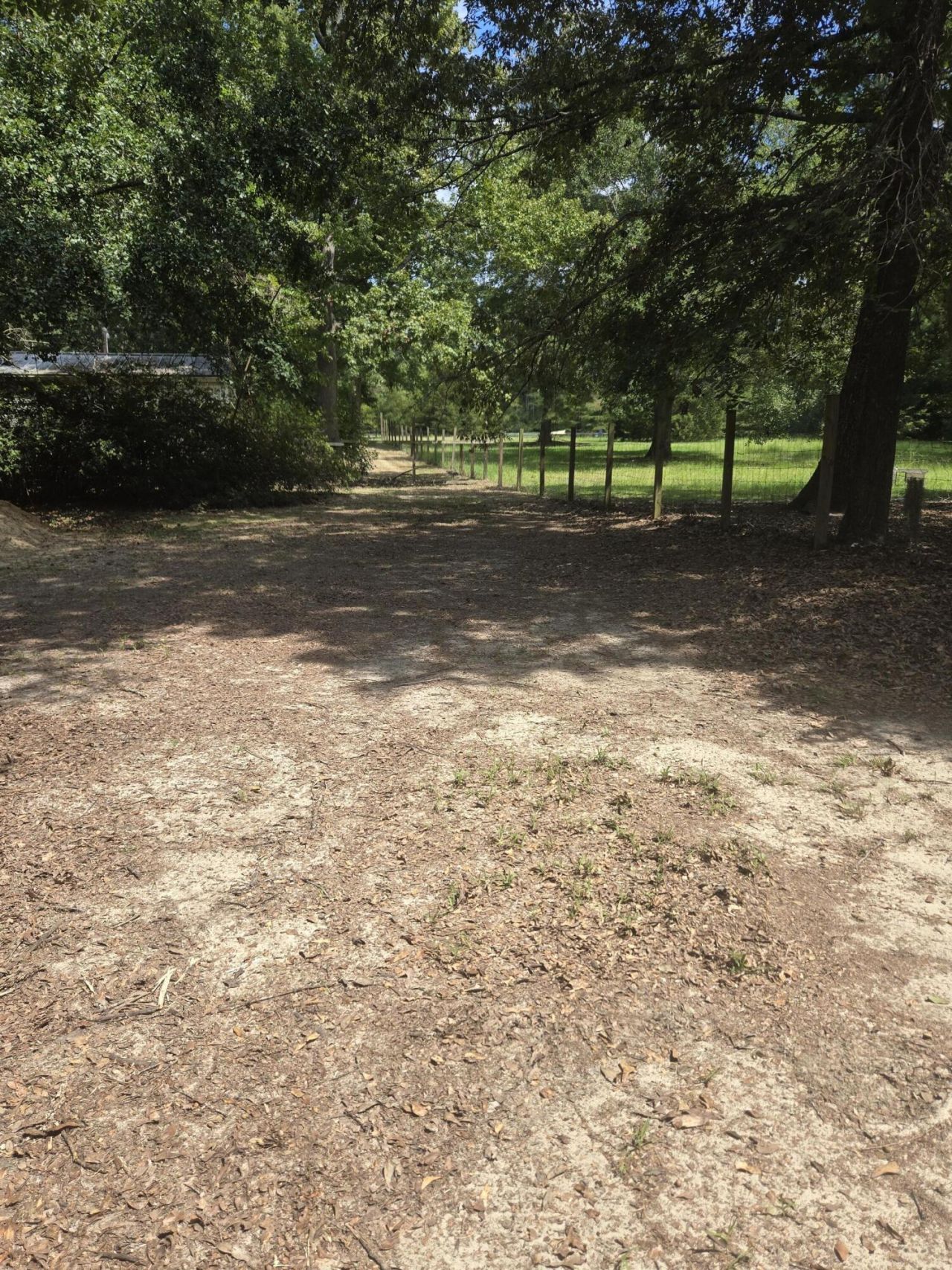 116 Huger Street Photo 16