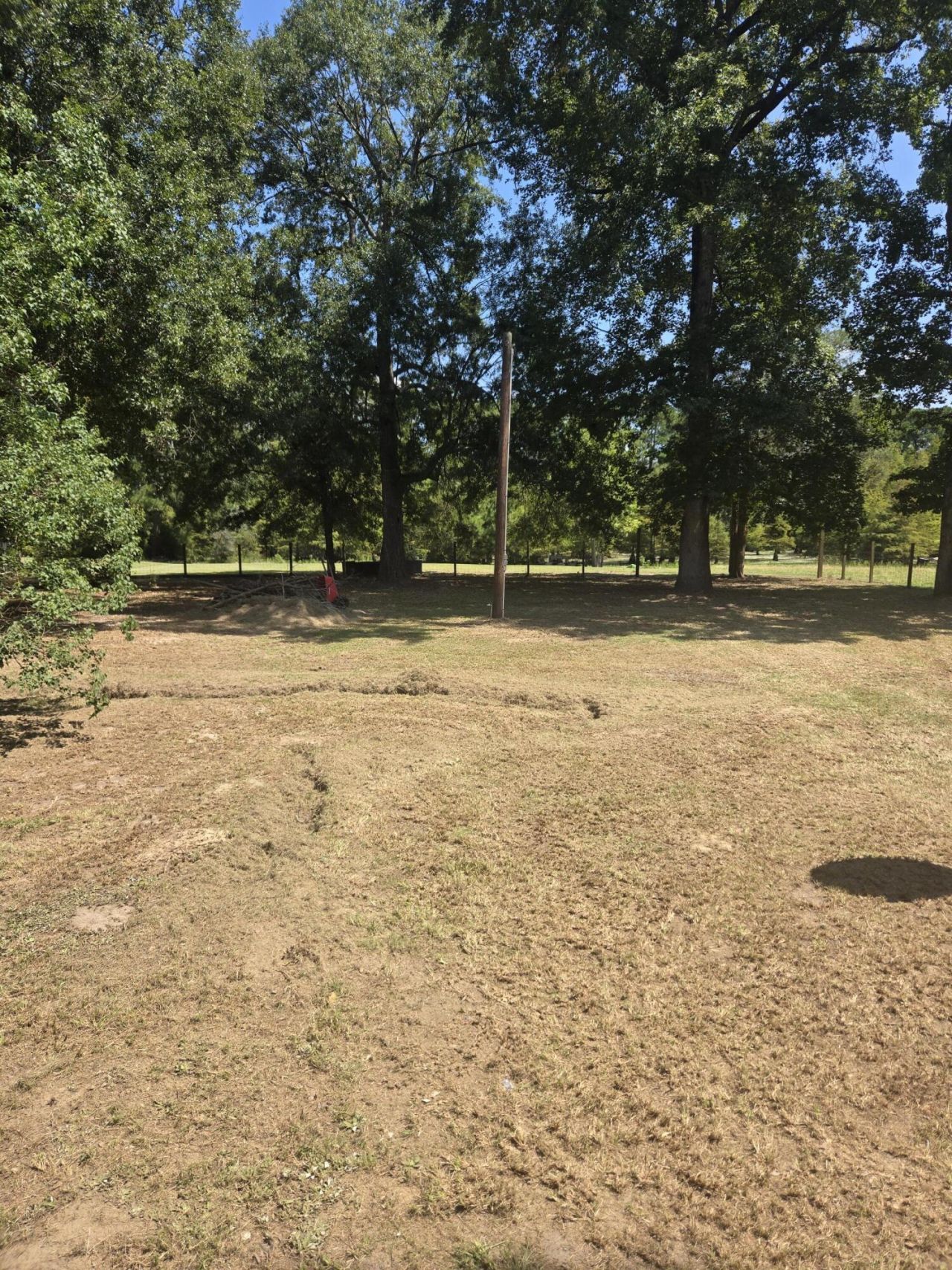 116 Huger Street Photo 7