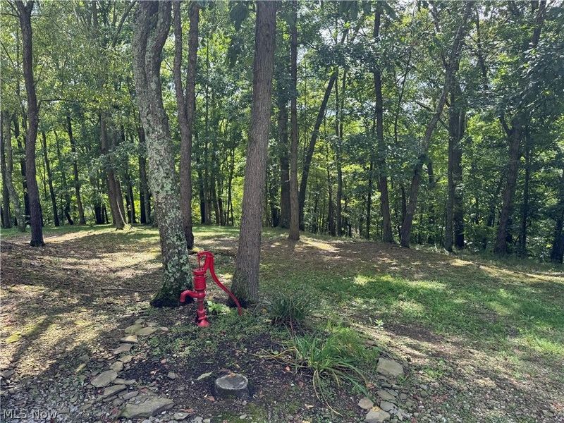 16462 Dunn Road, East Liverpool, OH 43920 Photo 14