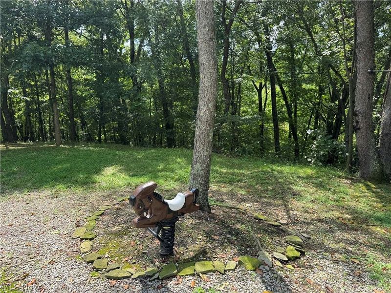 16462 Dunn Road, East Liverpool, OH 43920 Photo 15
