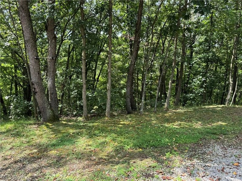 16462 Dunn Road, East Liverpool, OH 43920 Photo 17