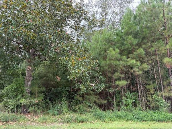 205 BELLE GROVE Court, Pearl River, LA 70452
