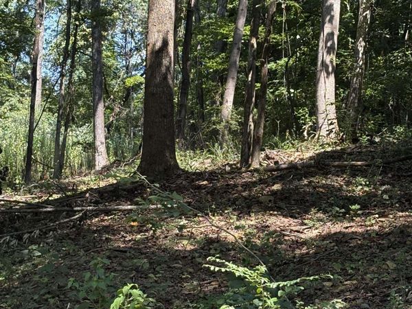 Lot 155 Sgt Holden Lane, Athens, AL 35614