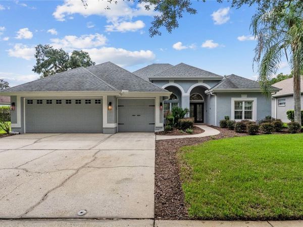 5924 CHERRY OAK DRIVE , VALRICO, FL 33596