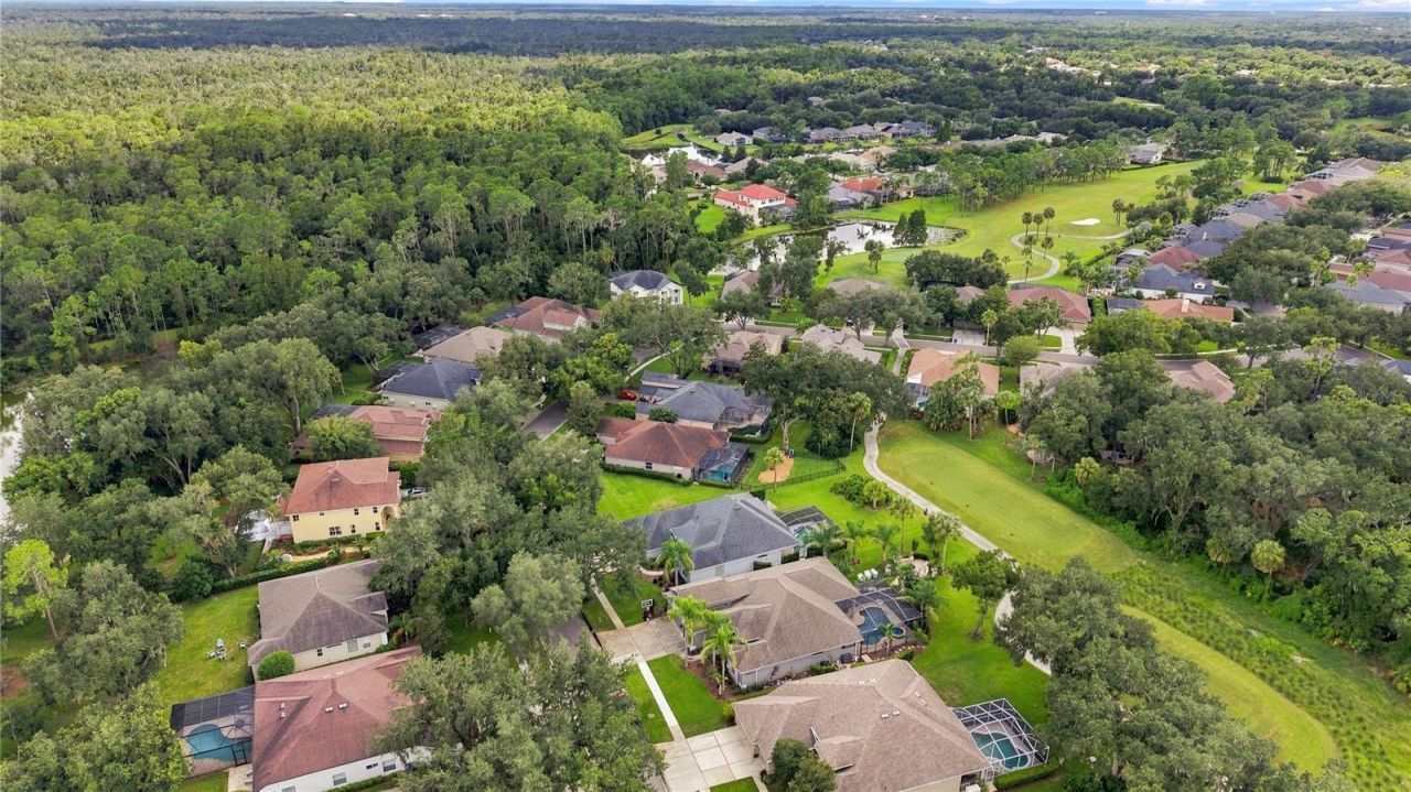 5924 Cherry Oak Drive, Valrico, FL 33596 Photo