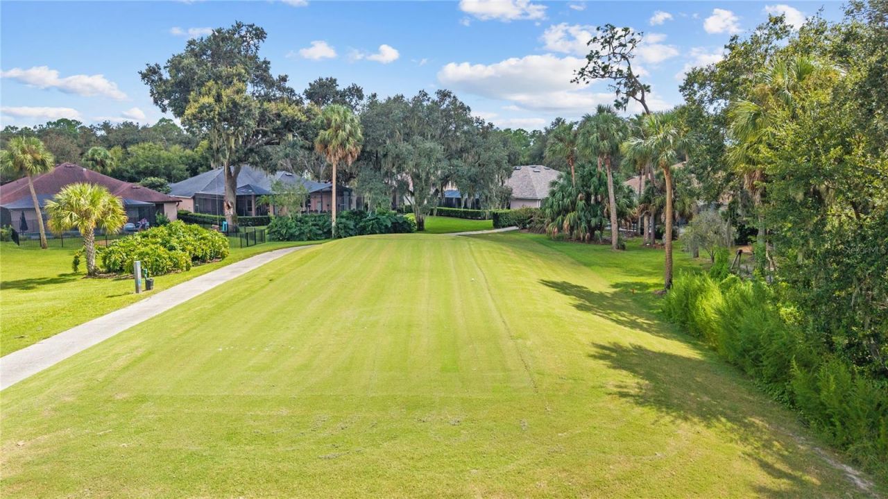 5924 Cherry Oak Drive, Valrico, FL 33596 Photo