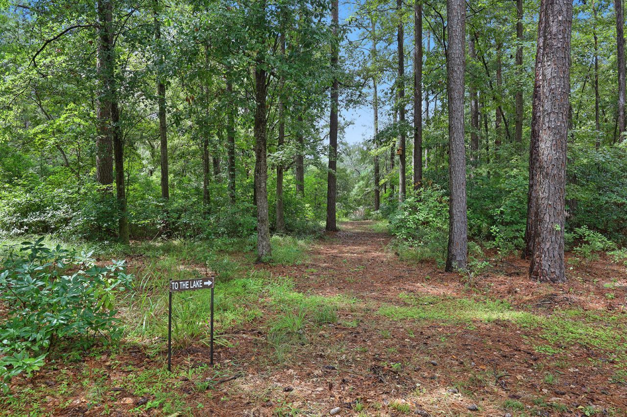 17 Blake Lane Photo 55