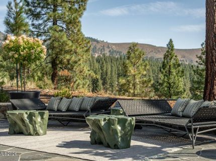 215 Haskell Mill Court, Carson City, NV 89705 Photo