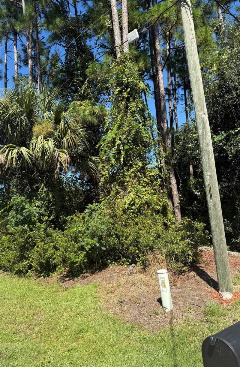 55 Ryecliffe Drive, Palm Coast, FL 32164 Photo