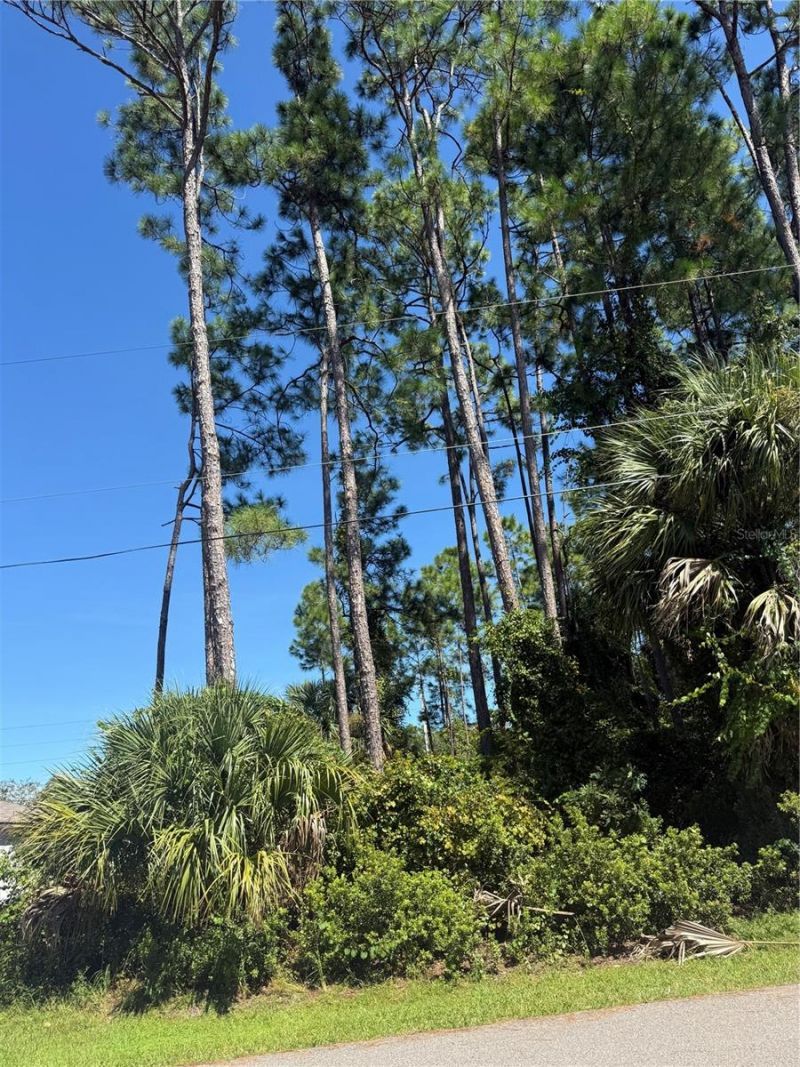 55 Ryecliffe Drive, Palm Coast, FL 32164 Photo