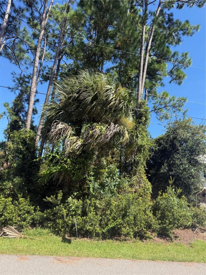 55 Ryecliffe Drive, Palm Coast, FL 32164 Photo