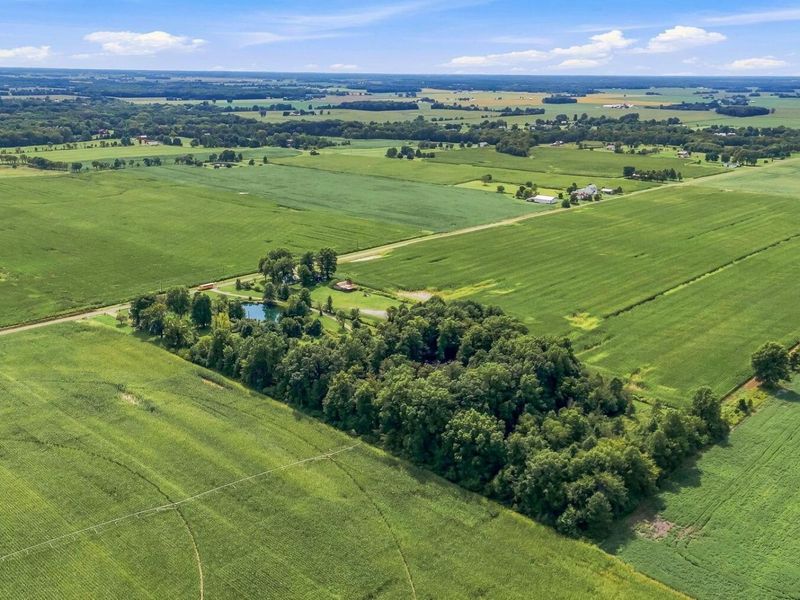 6959 Steamtown Road , Ashley, OH 43003 Photo 60