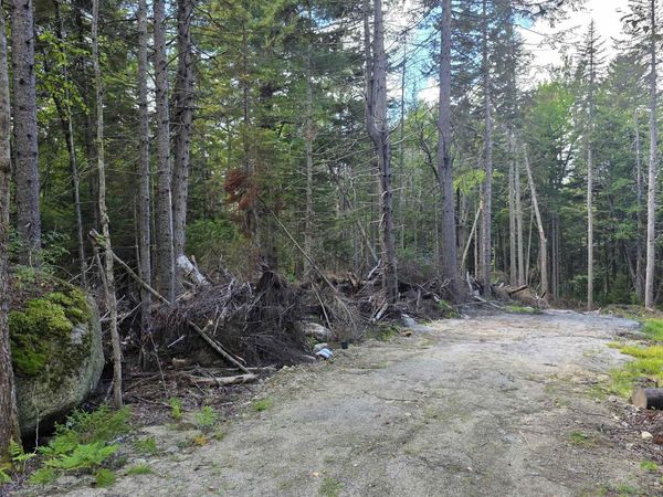 M10 L41 Taylor Circle, Washington, NH 03280