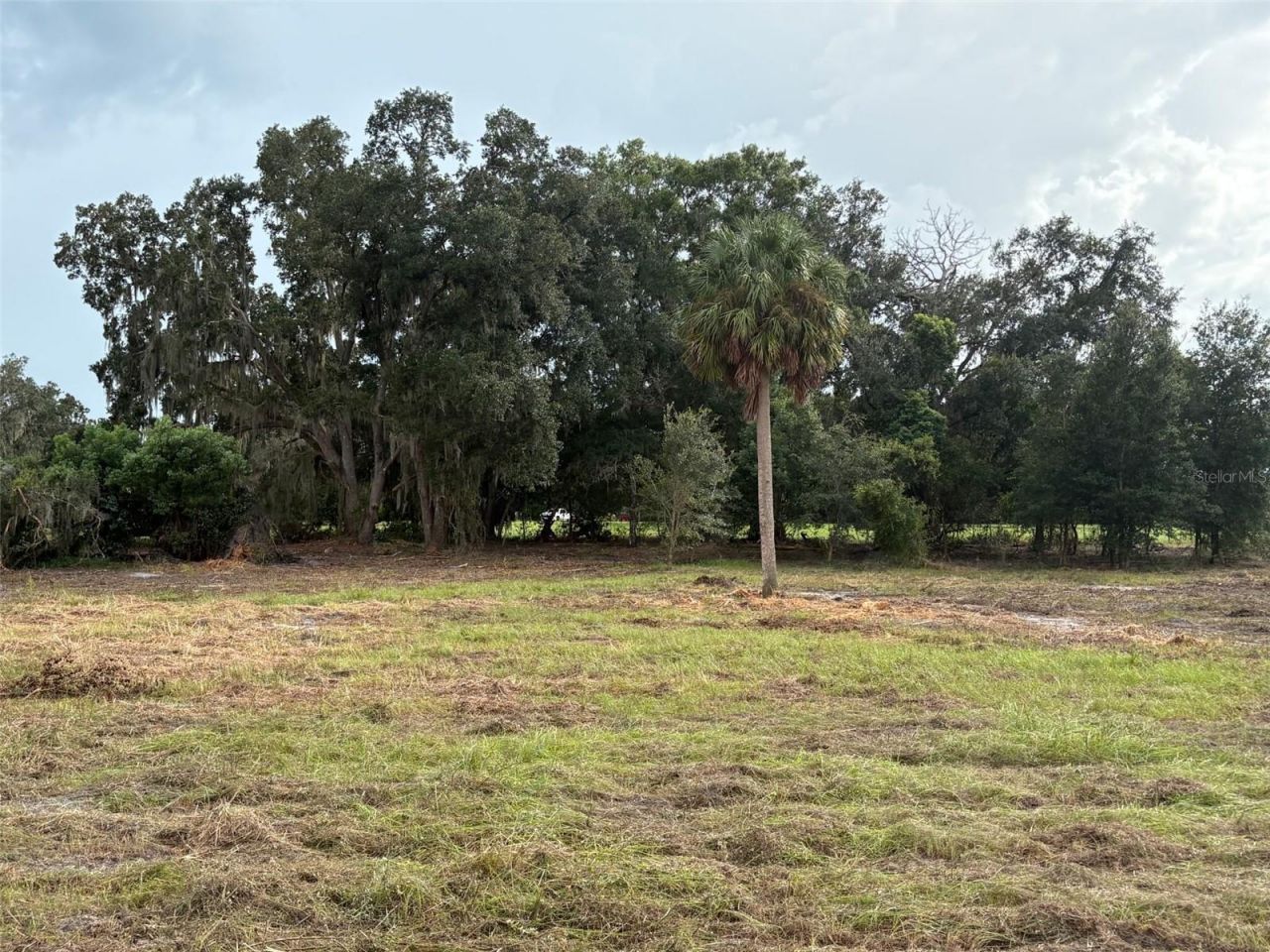 Pump Station Rd, Land O Lakes, FL 34639 Photo