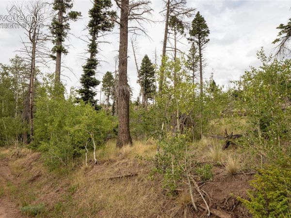 Lot 2571 Andes Loop, Fort Garland, CO 81133