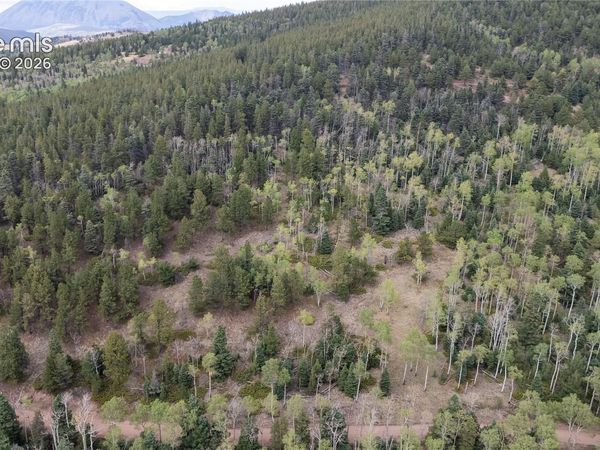 Lot 2915 Henderson Drive, Fort Garland, CO 81133