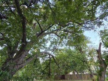 1218 Bliss Street, Dallas, TX 75203