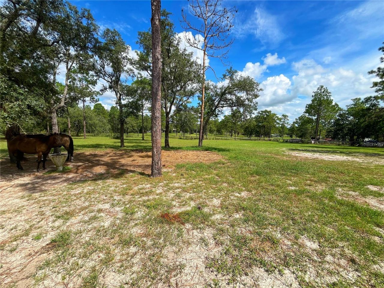 13591 SE 85th Place, Dunnellon, FL 34431 Photo