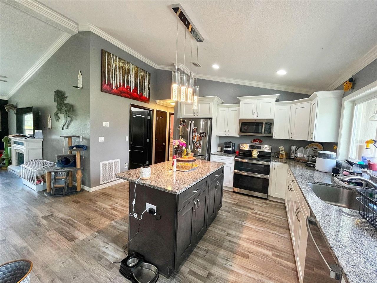 13591 SE 85th Place, Dunnellon, FL 34431 Photo