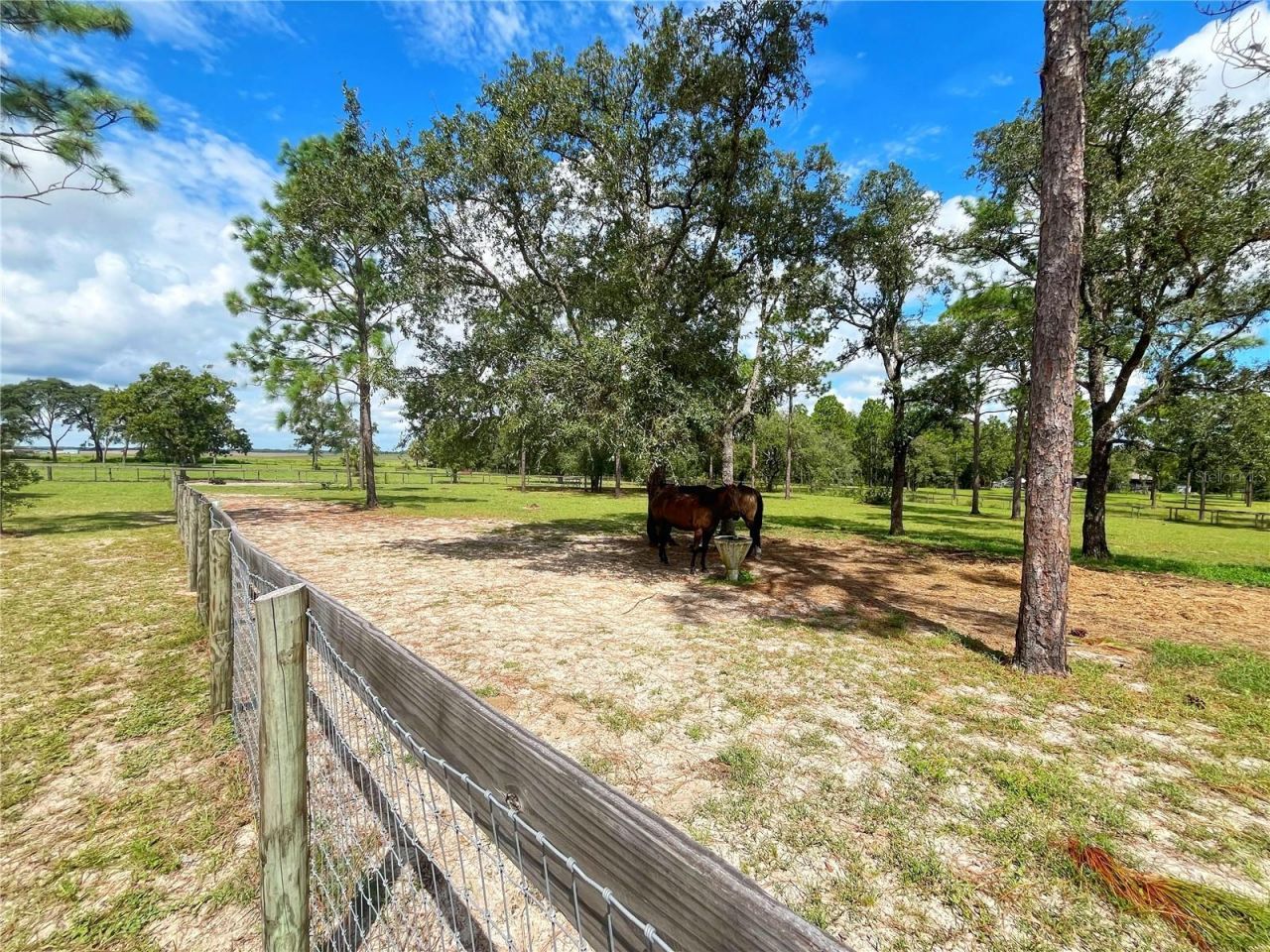 13591 SE 85th Place, Dunnellon, FL 34431 Photo