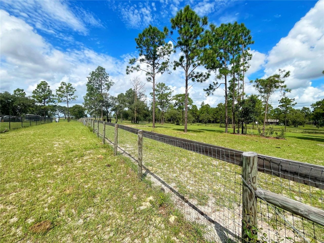 13591 SE 85th Place, Dunnellon, FL 34431 Photo