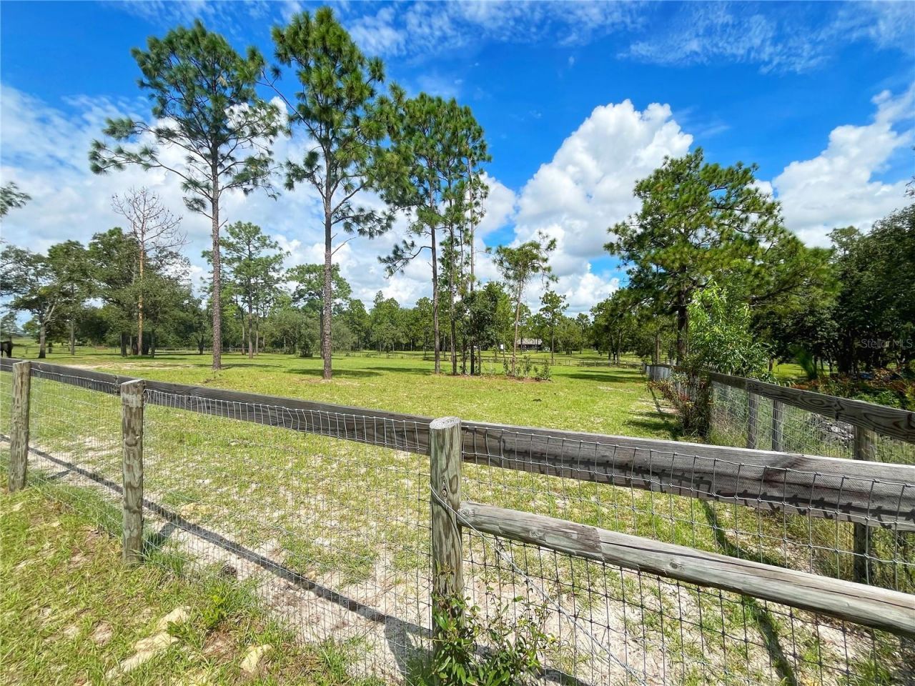 13591 SE 85th Place, Dunnellon, FL 34431 Photo
