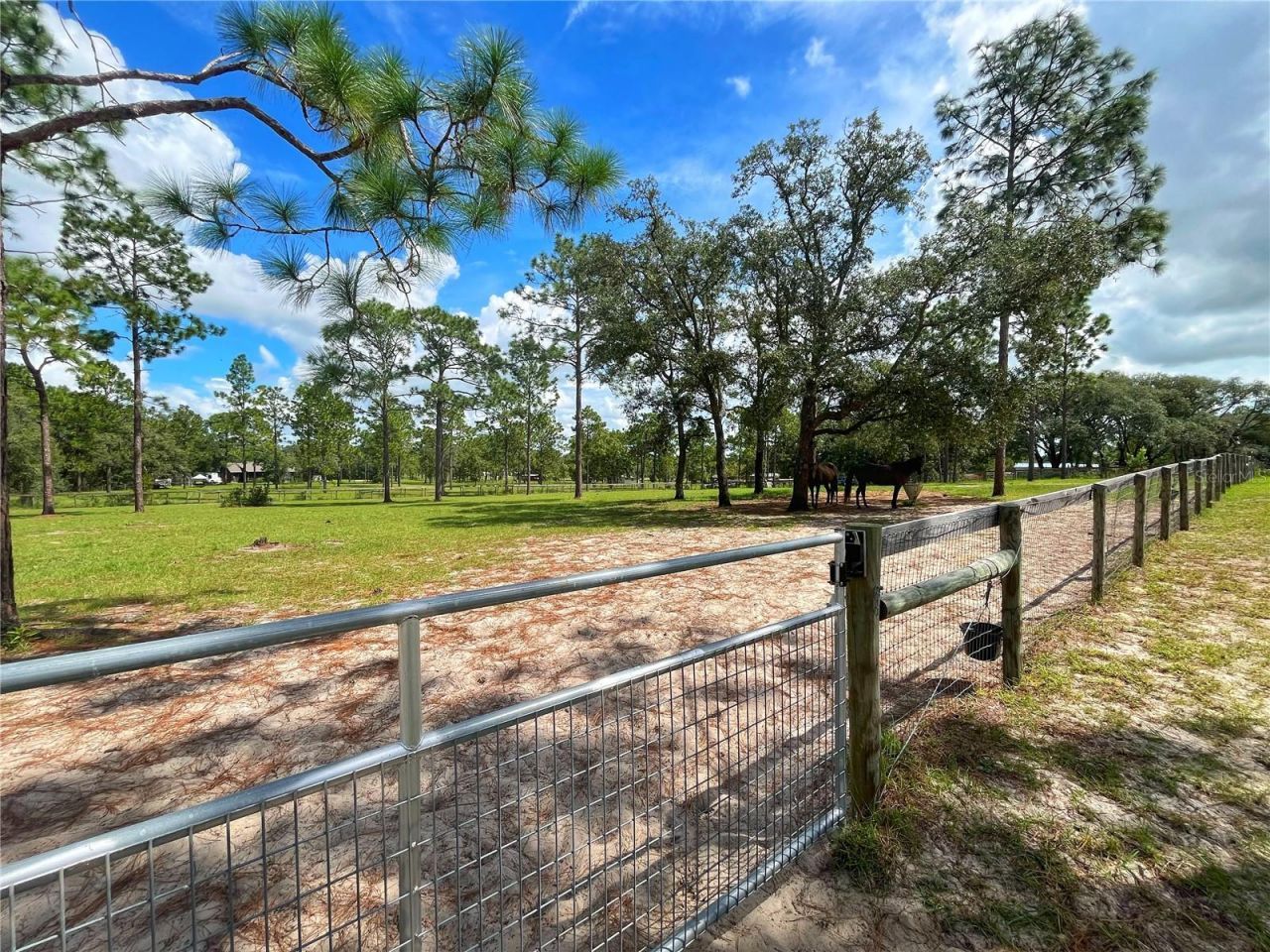 13591 SE 85th Place, Dunnellon, FL 34431 Photo