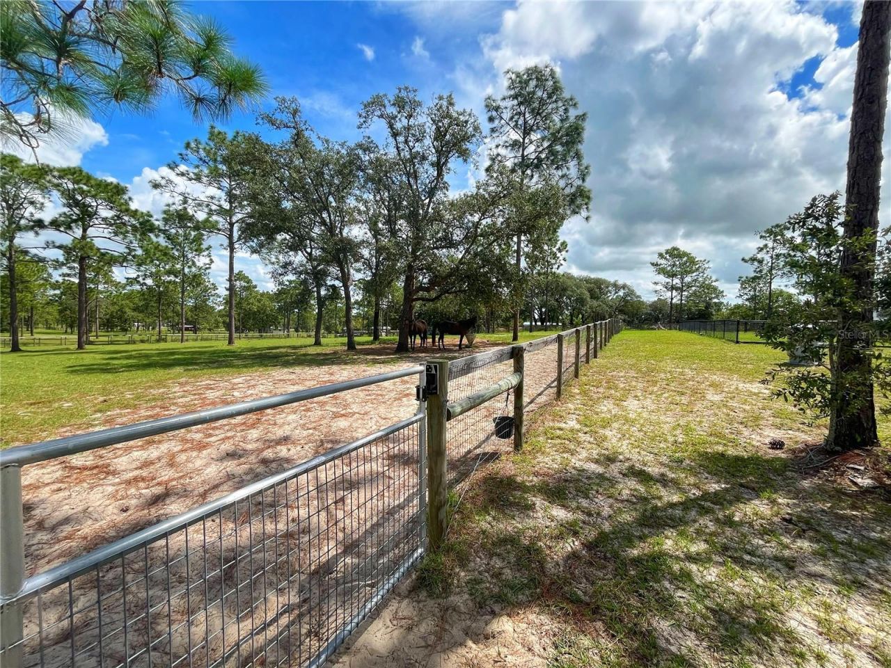 13591 SE 85th Place, Dunnellon, FL 34431 Photo