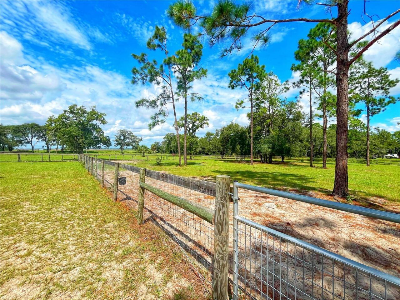 13591 SE 85th Place, Dunnellon, FL 34431 Photo