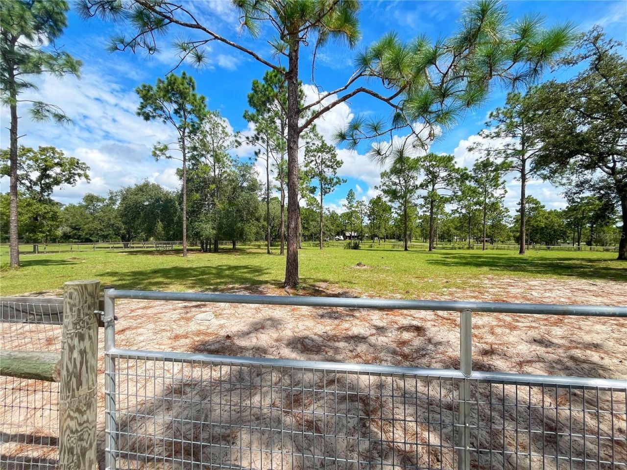 13591 SE 85th Place, Dunnellon, FL 34431 Photo
