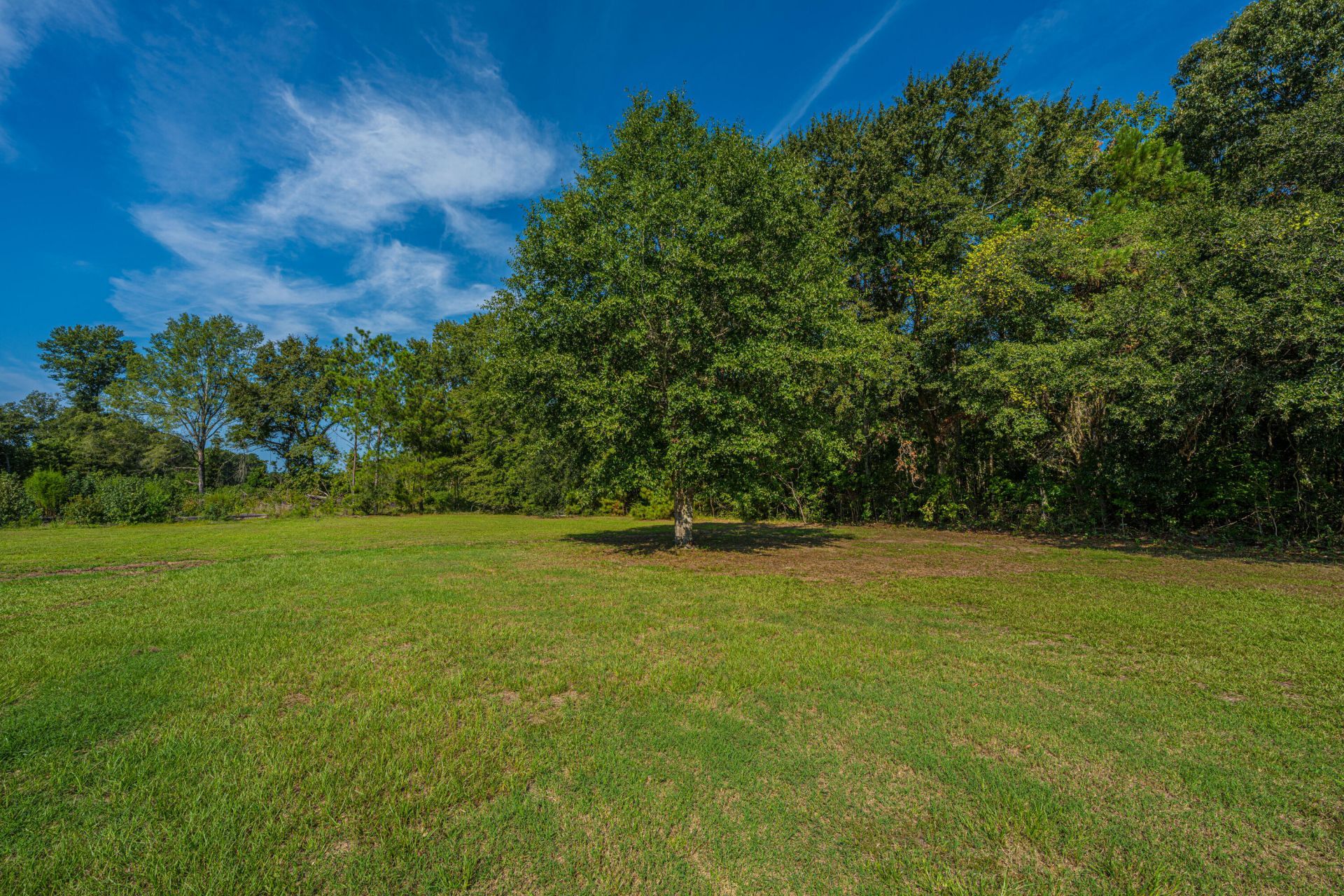 118 Rooster Lane Photo 71