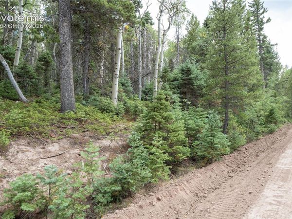 Lot 2660 Speciale Place, Fort Garland, CO 81133