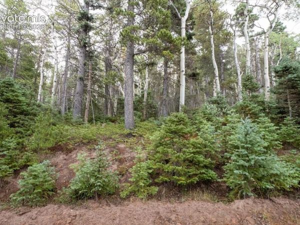 LOT 2614 Petito Drive, Fort Garland, CO 81133