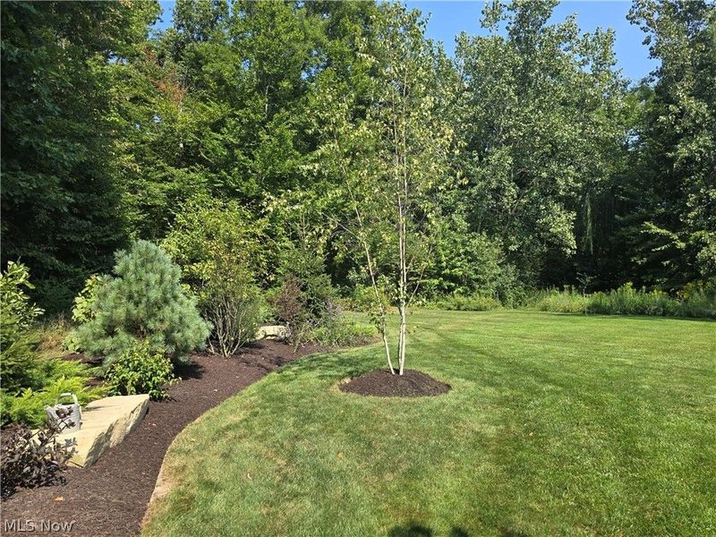 47550 Hughes Road, Wellington, OH 44090 Photo 17