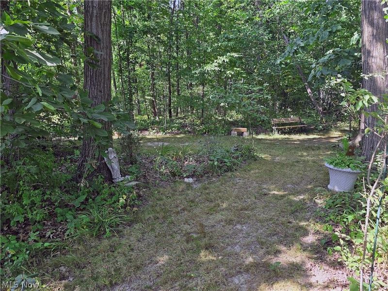 47550 Hughes Road, Wellington, OH 44090 Photo 48