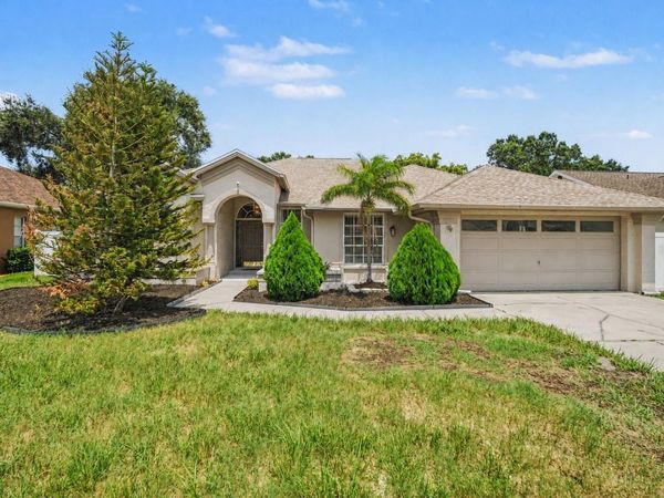 12410 DRIFTSTONE WAY , RIVERVIEW, FL 33569