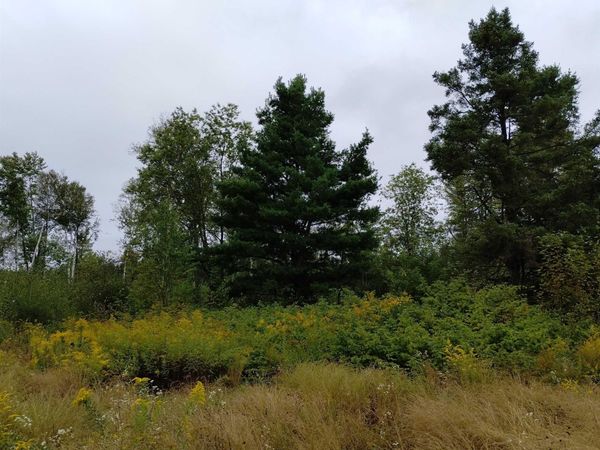 TBD No. Rock 38th Road, Maple Ridge Twp, MI 49880