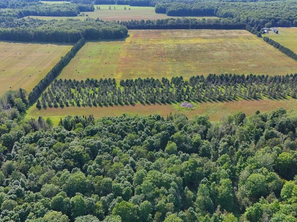 TBD ET Rd Road, Limestone Twp, MI 49825