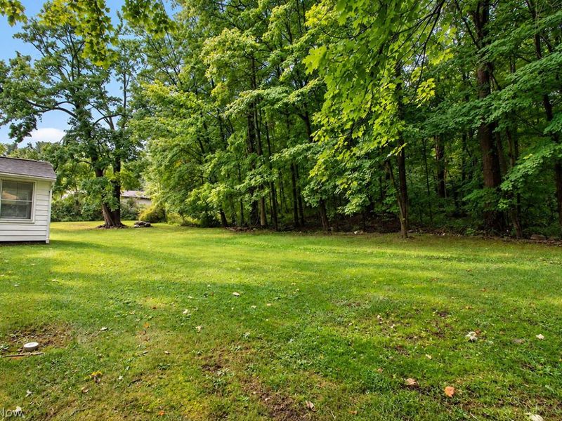 3544 S Medina Line Road, Wadsworth, OH 44281 Photo 34