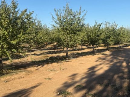 7967 Nicolaus Rd, Lincoln, CA 95648 Photo