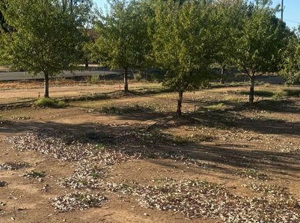 7967 Nicolaus Rd, Lincoln, CA 95648 Photo