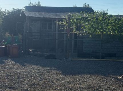 7967 Nicolaus Rd, Lincoln, CA 95648 Photo
