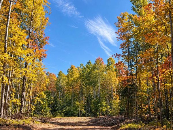 Parcel 4 County Road A, Solon Springs, WI 54873