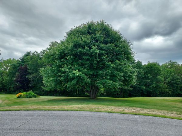 27 Emery Avenue , Thomaston, ME 04861