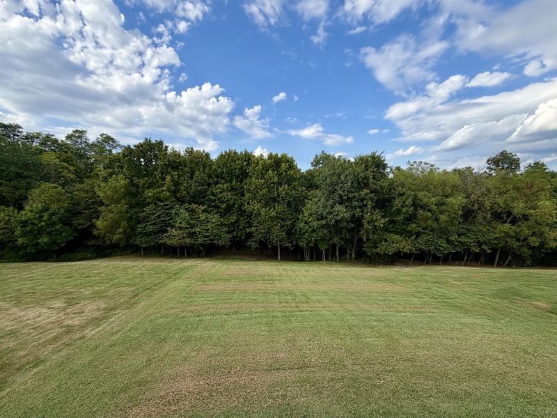 368 Rocky Pointe Court, Walton, KY 41094 Photo 27